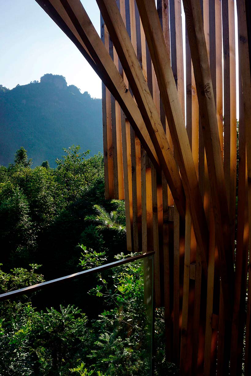 Фото | Вид на долину с балкона дома на дереве