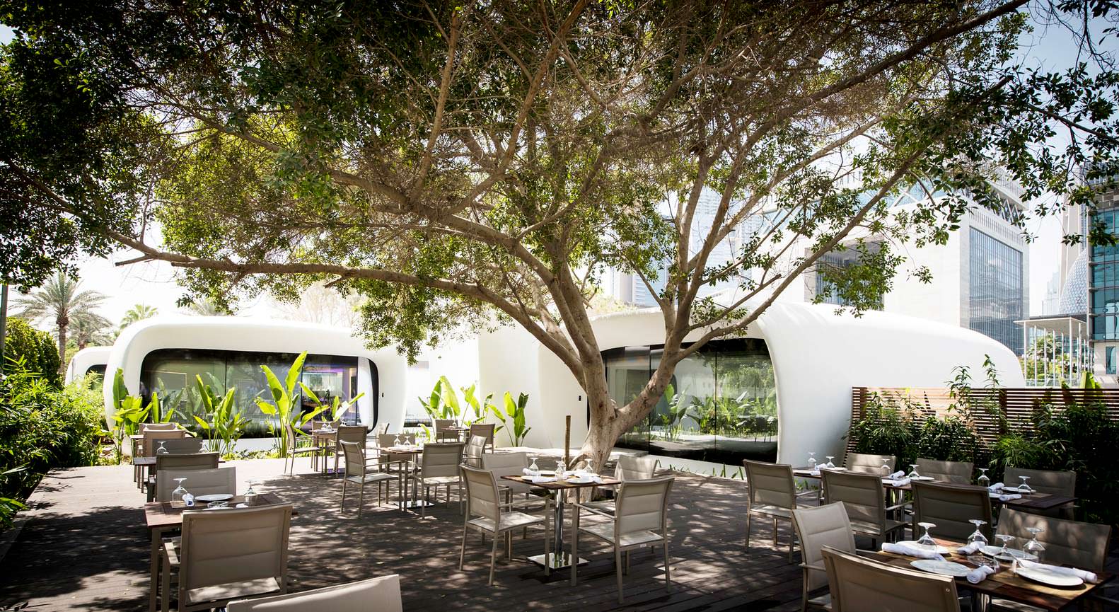 Кафе в тени дерева на территории Dubai Future Foundation