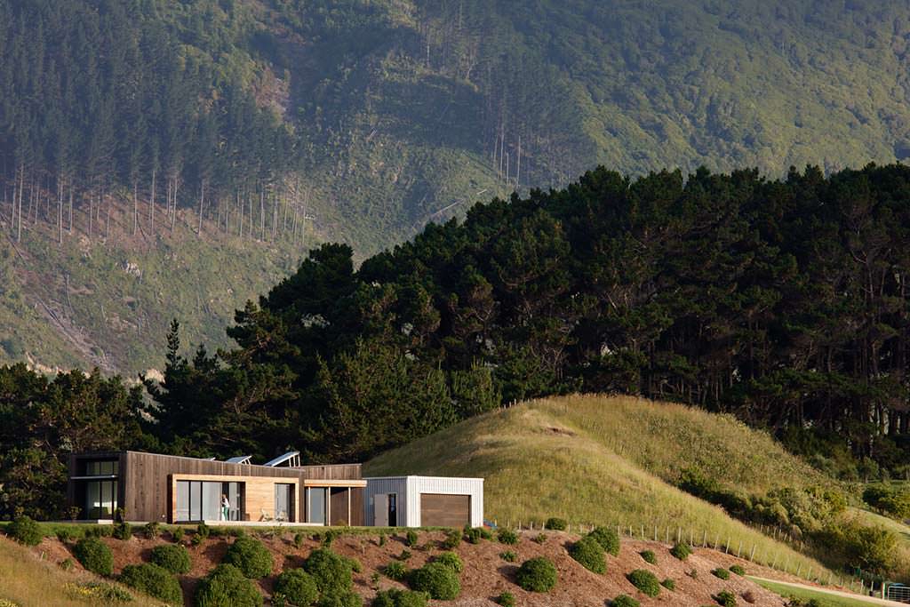 Дом на вершине холма рядом с сосновым лесом