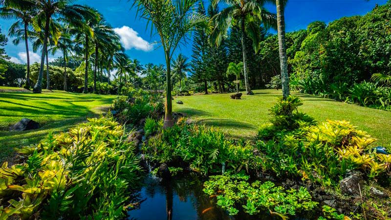 Тропический рай Сэмми Хагара на Гавайях