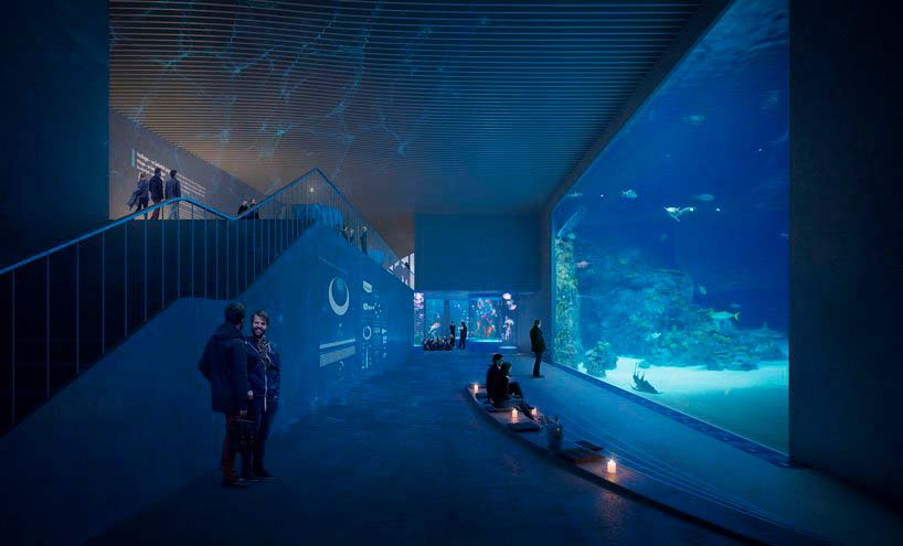 Стеклянная стена аквариума «Царство Посейдона»